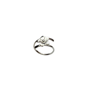 Anillo Belén